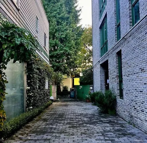 Cozy J Apartament